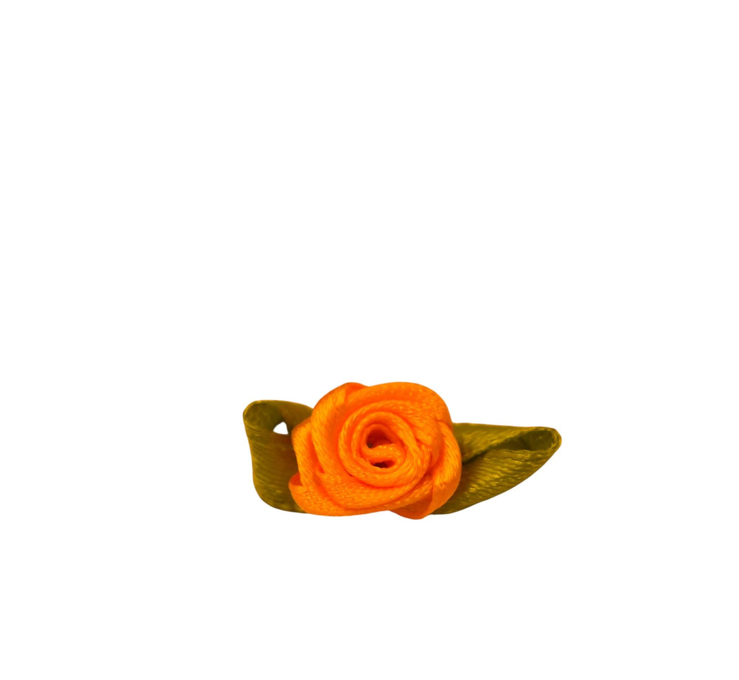 15 Camellia ribbon roses, yellow ribbon roses, deep pink ribbon roses, ribbon roses, dark yellow ribbon roses, red ribbon roses